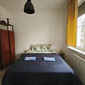 Parrot's Kraków